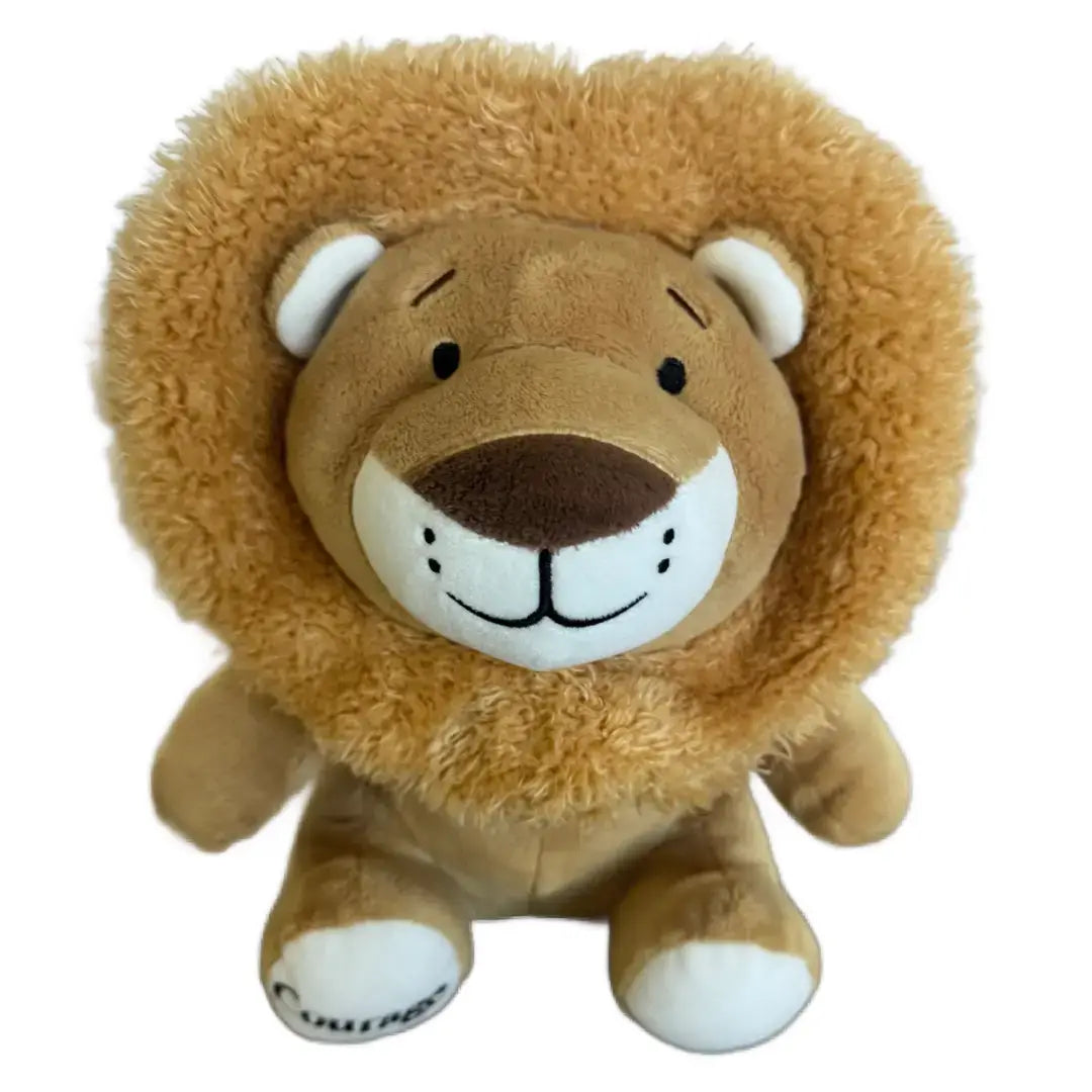 Developmental Assessment Kit